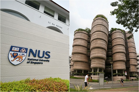 费用低廉，公立学校有政府津贴