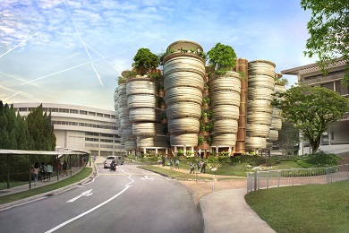 获得新加坡南洋理工大学机械工程专业录取