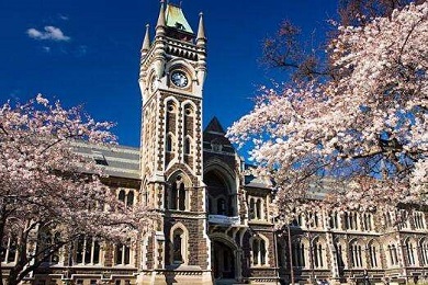 普通高中生获得奥克兰大学商学学士